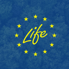 LIFE – Das EU-Finanzierungsinstrument für die Umwelt